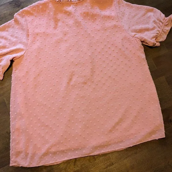 NWT Gibsonlook Short Sleeve Swiss Dot Full Placket Blouse, Mauve, Large - Picture 12 of 12